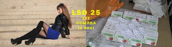 a pvp Ельня