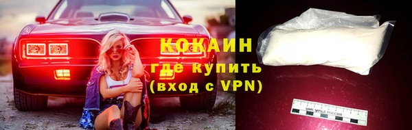 a pvp Ельня