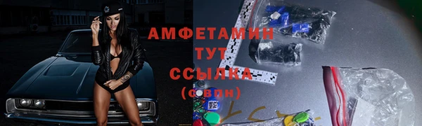 a pvp Ельня