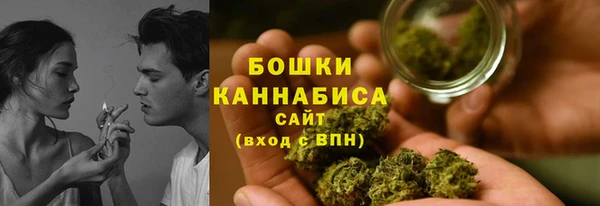 ECSTASY Елизово