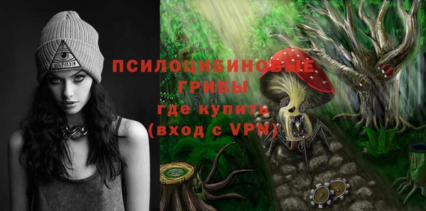 a pvp Ельня