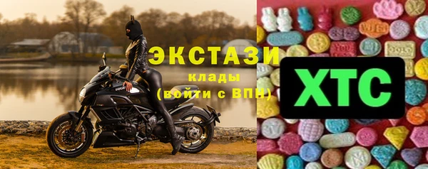 a pvp Ельня