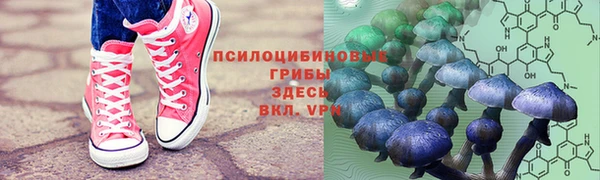 a pvp Ельня